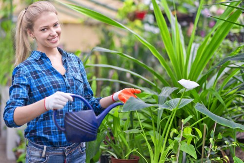 Landscapers Harlesden creating a well-designed urban garden