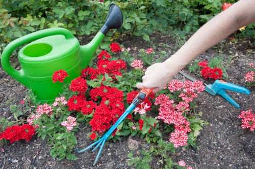 Aeration and soil care for Harlesden lawns