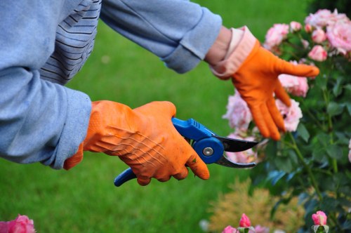Supplier due diligence and audit process in landscaping operations