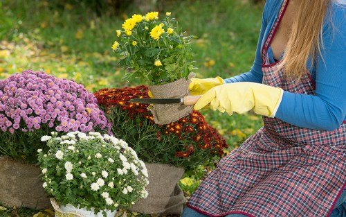 Keyboard navigation and inclusive web design for local landscaping services
