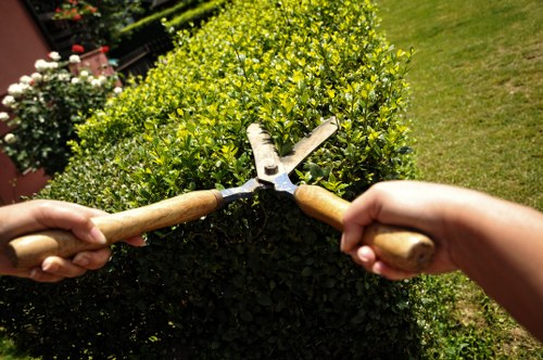 Screen-reader compatible website content for Landscapers Harlesden