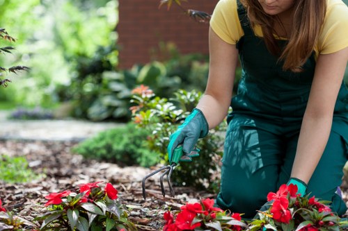 Front garden planting to improve kerb appeal in Harlesden