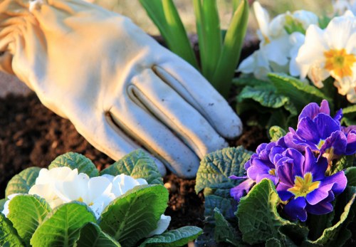 Commercial planting services creating a welcoming outdoor space in Harlesden