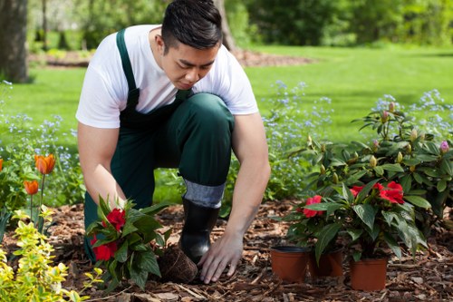 Modern garden design ideas for homes in Harlesden