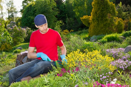 Seasonal garden planting and border design in Harlesden