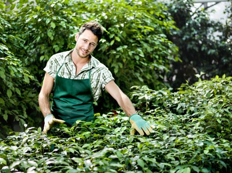 Senior review stage for a landscaping complaint process
