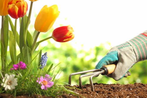 Transparent man and van cost example for Harlesden garden work