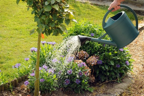 Lawn mowing for a managed outdoor space near Harlesden