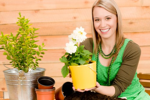 Garden maintenance visit for a terrace home in Harlesden