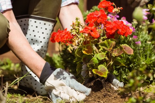 Professional landscaping company resolving a customer complaint