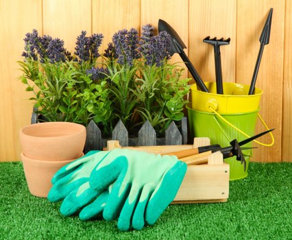 Local planting services planning a residential garden layout in Harlesden